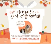 인제로 오세요…라이프위드도그, 1주년 맞아 감사 이벤트 진행