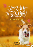 “반려견과 나들이 오세요” 강아지숲 테마파크 27일부터 가을축제