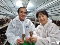 [귀거래사]건설업 경험 살려 최적 환경 조성…군수도 사는 참송이버섯