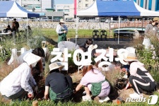 가을 옷 입은 용인 경안천 ‘시민 참여 어울林(림) 정원’