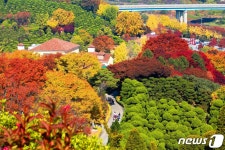 세종의 아름다운 정원 둘러보세요 10월 1~3일 오픈가든페스티벌