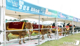 우리가 제주의 미남미녀 한우랍니다