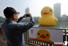 8년 만에 다시 돌아온 러버덕