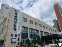 “남편한테 맞고 기절한 혜경궁”…이재명 비방·허위 댓글 유포 50대 벌금형