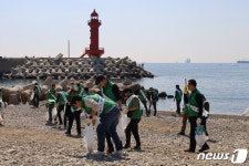 100년 기업 앞두고, HJ중공업 임원진 200명 부산 영도서 환경정화