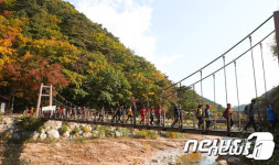 “물드는 단풍 즐기자” 강원 유명산‧관광지 북적…설악산만 1만7000명