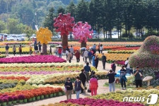 “물드는 단풍 즐기자” 강원 유명산‧관광지 북적…설악산만 1만7000명