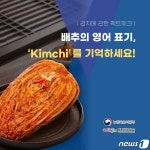 구글번역기에 김치용 배추 쓰면 Chinese cabbage for kimchi