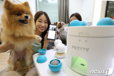 LGU+ 반려동물 놀이·훈련 돕는 펫토이 출시