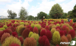 수원탑동시민농장 찾은 시민들