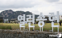 송현동 부지 녹지광장으로 개방…서울광장 3배