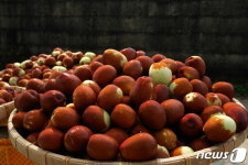 대추 한입, 감동 두입 보은군 온라인 쇼핑몰·콜센터 운영