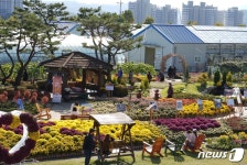제천시농업기술센터, 국화정원 휴 자연치유농장 개방