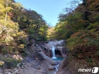단풍 물들기 시작한 설악산 용소폭포