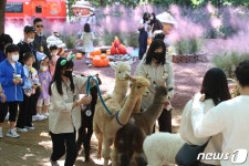 대구 이월드 새로운 동물친구를 소개합니다