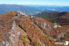가을 물드는 대봉산휴양밸리