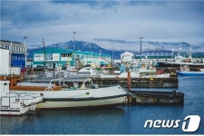 옥천초량부산물 | "더 이상 버릴 게 없다"…돈이 되는 '수산 부산물'