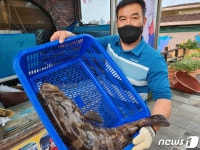 자연산 활어만 취급…고집이 만든 고수의 맛