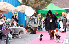 반려견과 함께하는 할로윈 파티 로드길 산책