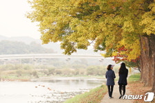 특별한 가을 정취 만끽…영동군 양산팔경 금강둘레길 인기
