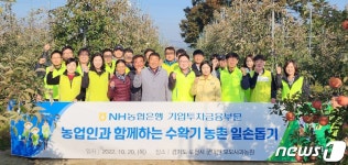 NH농협은행, 사과농원 방문해 수확기 일손돕기 활동