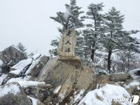 오대산에도 첫눈 가을 설경…노인봉 5㎝ 쌓여