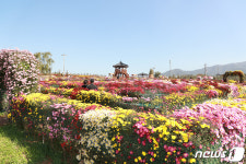 ‘제23회 서산국화축제’ 내달 2∼13일 고북면 복남골길서 열린다