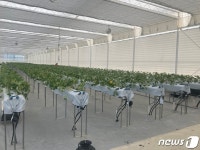 금산군, 청년농업인 스마트팜 경영실습 임대농장 운영
