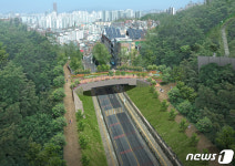 동작구, 도로로 단절된 국사봉 녹지축 잇는 녹지연결로 조성