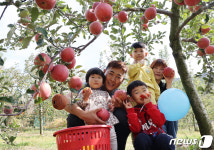 가족끼리 맛잇는 사과 따러 왔어요
