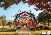 인생샷 남기려면 내장산으로…정읍시, 사진찍기 좋은 명소 조성