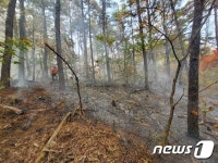대전 유성구 성북동 야산서 산불…1시간49분만에 주불 진화