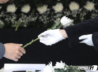 국화꽃 한 송이로 그대들을 위로할 수 있다면