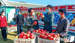 흥하는 고장으로 전변에 성공한 북한 북청군 과수 농장