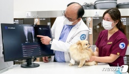 SKT 동물 진단보조 AI 서비스, CES 혁신상 수상