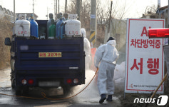 조류인플루엔자 검출된 화성시의 육용종계 농가