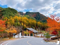 “숲 속에서 행위중독 예방하고 힐링하세요”
