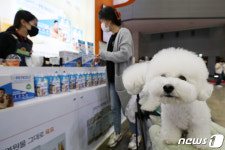 펫 산업의 모든 것이 한자리에