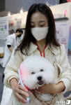 2022 메가주 반려견용 피부치료기