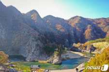 [풍경] 영동 황간면 월류봉 둘레길 늦가을 정취 물씬