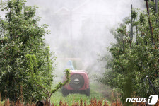 충주시, 과수화상병 신속 대응 위해 사과·배 재배신고제 운용