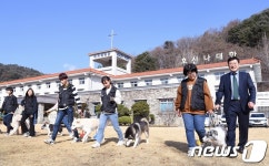 ‘날씨 좋다개’ 가을하늘 아래 산책하는 훈련견들