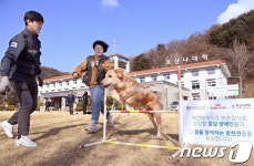 ‘발달장애인들의 꿈을 응원해’ 실습 시범 보이는 훈련견들