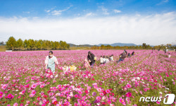 구미시, 도심 관통 39㎞ 낙동강 둔치에 힐링공간 조성