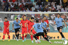 [월드컵] 잘 싸운 벤투호, 우루과이와 0-0 무승부…브라질‧포르투갈 첫 승(종합)