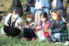 제주 당근뽑기 재밌어요