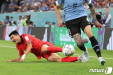 [월드컵] 벤투호 수비의 핵 김민재, 종아리 통증으로 이틀 연속 훈련 불참