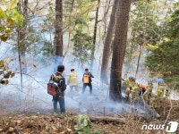 부산 엄광산 불 3시간 만에 진화…0.28ha 소실, 소방관 1명 부상(종합)