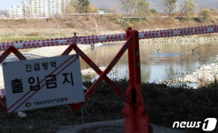 울주 6.4만마리 사육 산란계 농장 H5형 확진