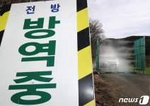 안성 육용오리 농장 AI 확진…올 겨울 27번째